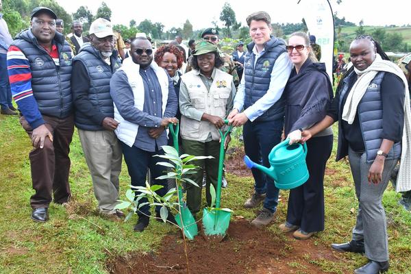 Documentary Production