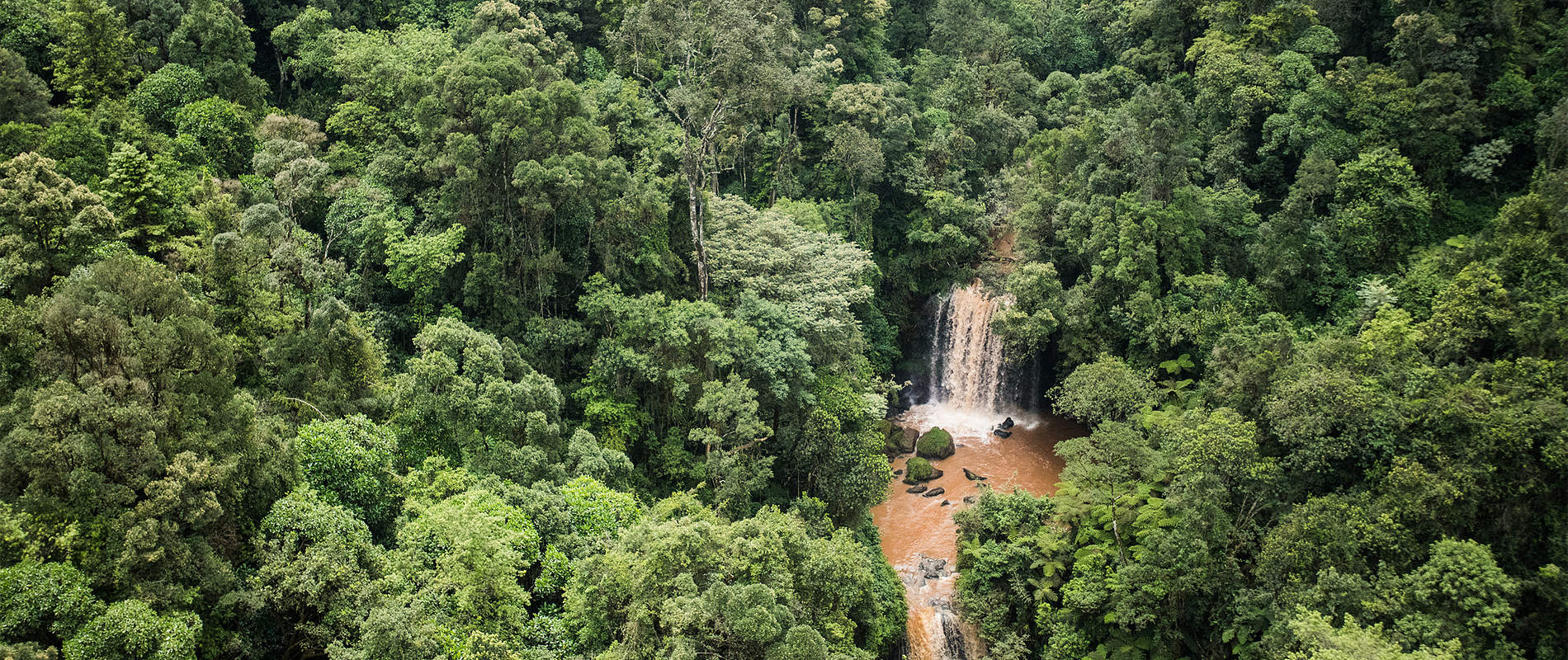 Documentary Production